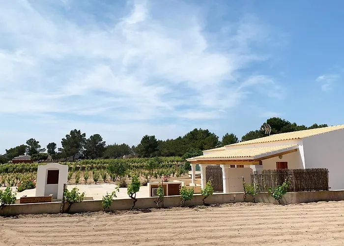 Aptos rurales Sa Barda - Viñedos y tranquilidad