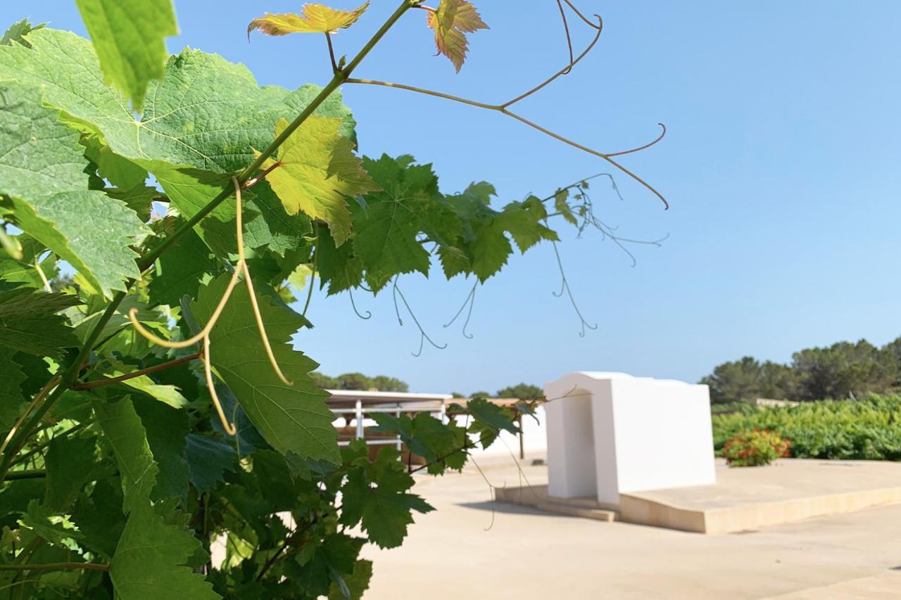 Aptos Rurales Sa Barda - Viñedos Y Tranquilidad * San Francisco Javier