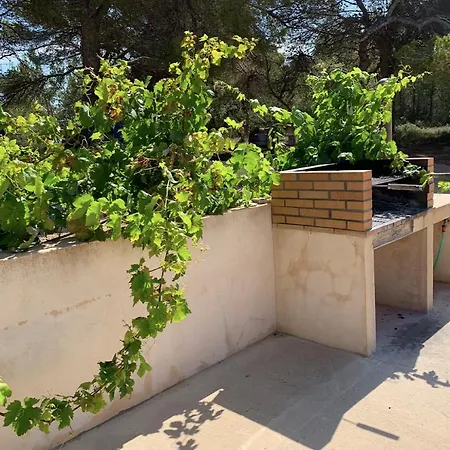 Aptos Rurales Can Pep De Sa Barda - Vinedos Y Tranquilidad San Francisco Javier Zewnętrze zdjęcie