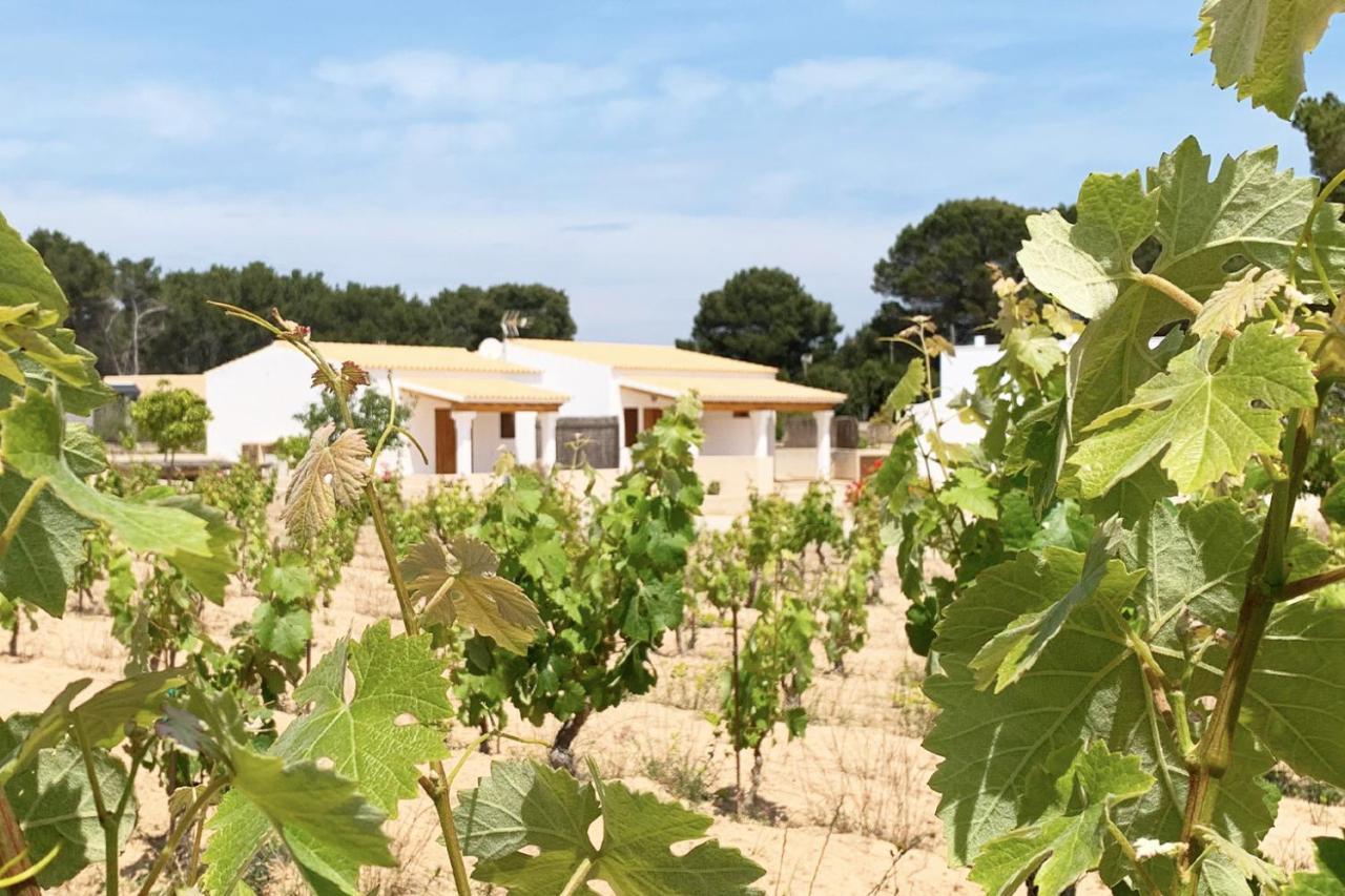 Aptos Rurales Pep De Sa Barda - Vinedos Y Tranquilidad *